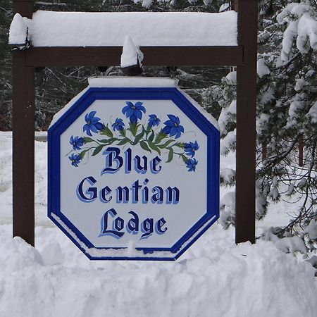 Blue Gentian Lodge At Magic Mountain Londonderry エクステリア 写真