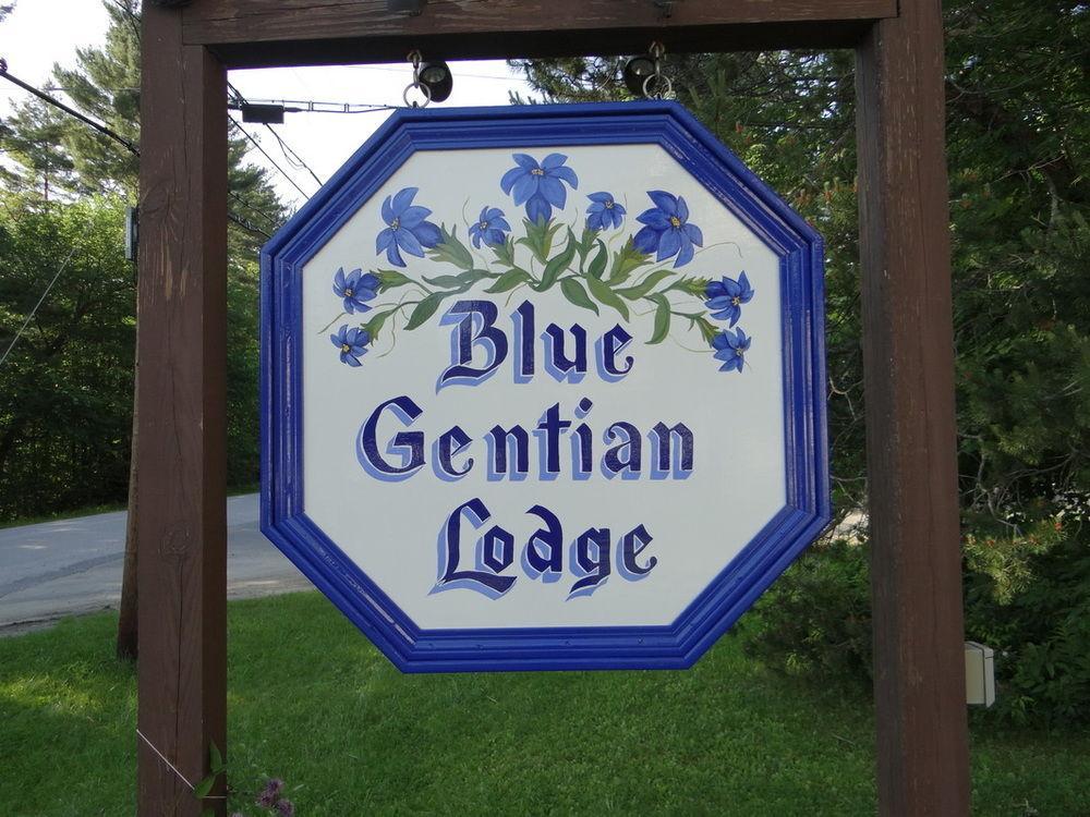 Blue Gentian Lodge At Magic Mountain Londonderry エクステリア 写真