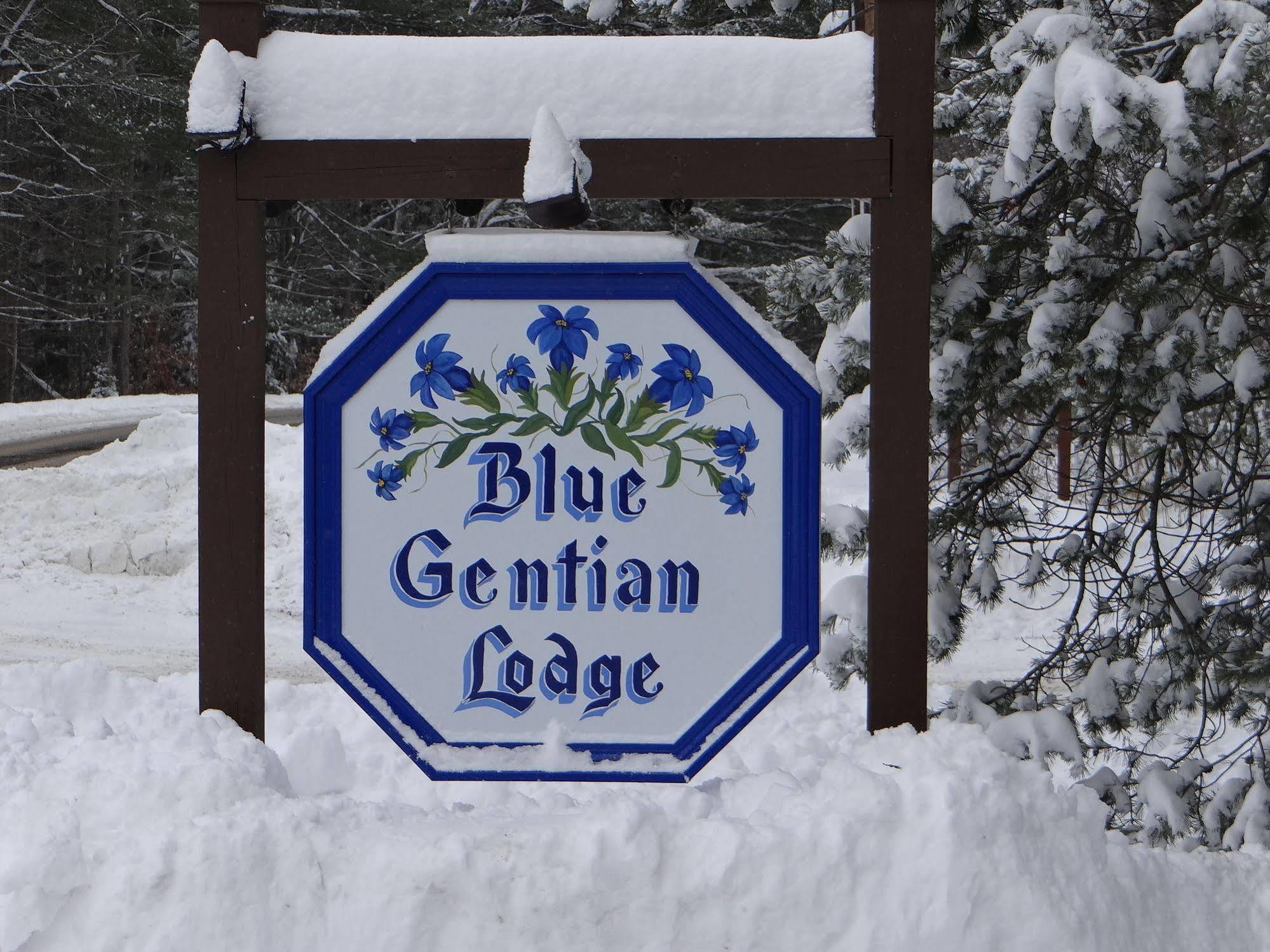 Blue Gentian Lodge At Magic Mountain Londonderry エクステリア 写真