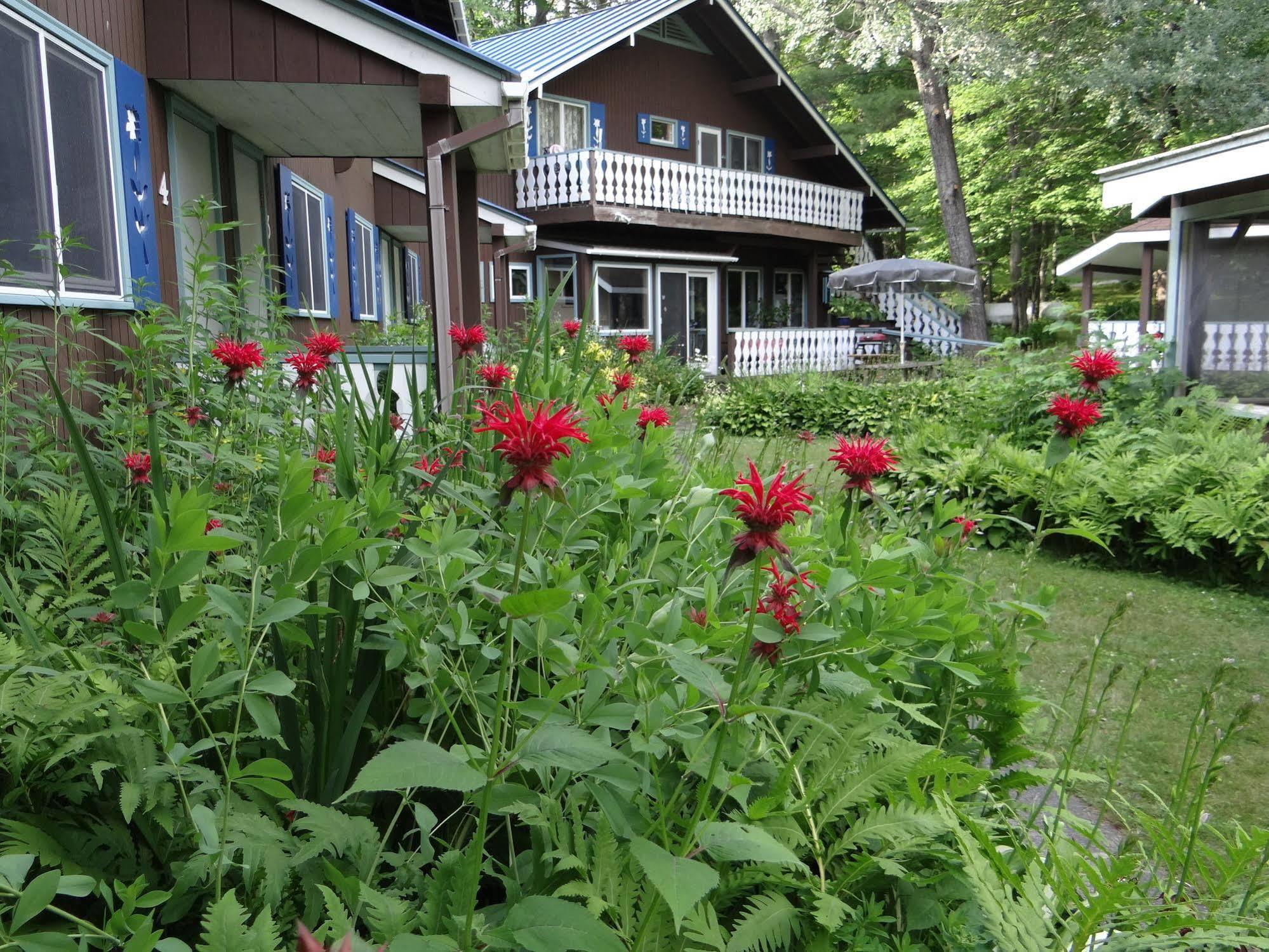 Blue Gentian Lodge At Magic Mountain Londonderry エクステリア 写真